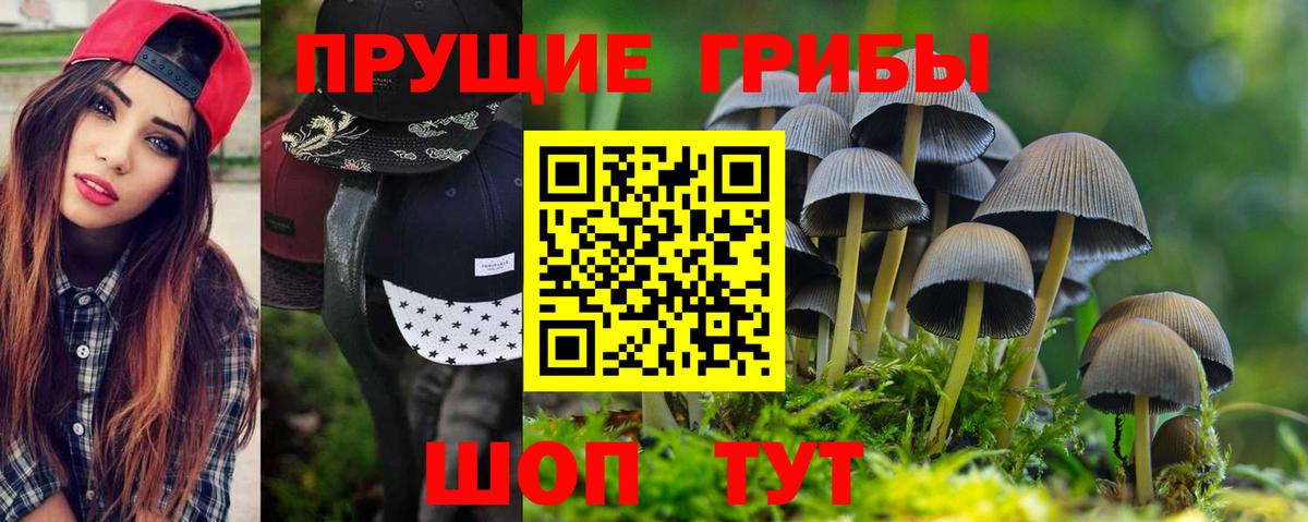 Галлюциногенные грибы MAGIC MUSHROOMS  Вход с VPN  Уссурийск 